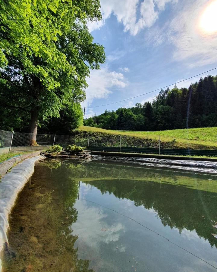 Domek Nad Stawami Ochotnica Dolna Villa Exterior photo